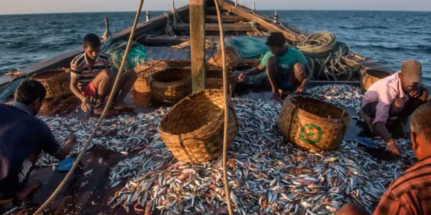 मुंबई फिशिंग पॉइंट्स | Fishing Point in Mumbai