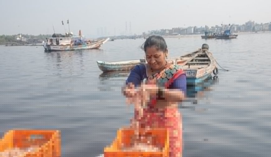 मुंबई कोली समुदाय की मछली पकड़ने की विरासत और संस्कृति