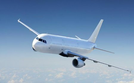 Mumbai News  : फ्लाइट से टकराकर 40 राजहंसों की हुई मौत !