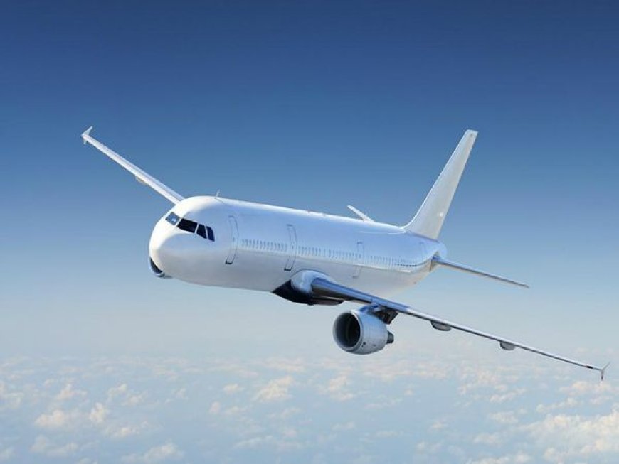 Mumbai News  : फ्लाइट से टकराकर 40 राजहंसों की हुई मौत !