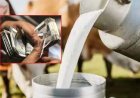 Cow milk subsidy in maharashtra : महाराष्ट्र में गाय के दूध पर सब्सिडी: 