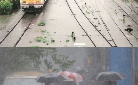 बारिश ने बढ़ाई महाराष्ट्र वासियों कि मुसीबत !