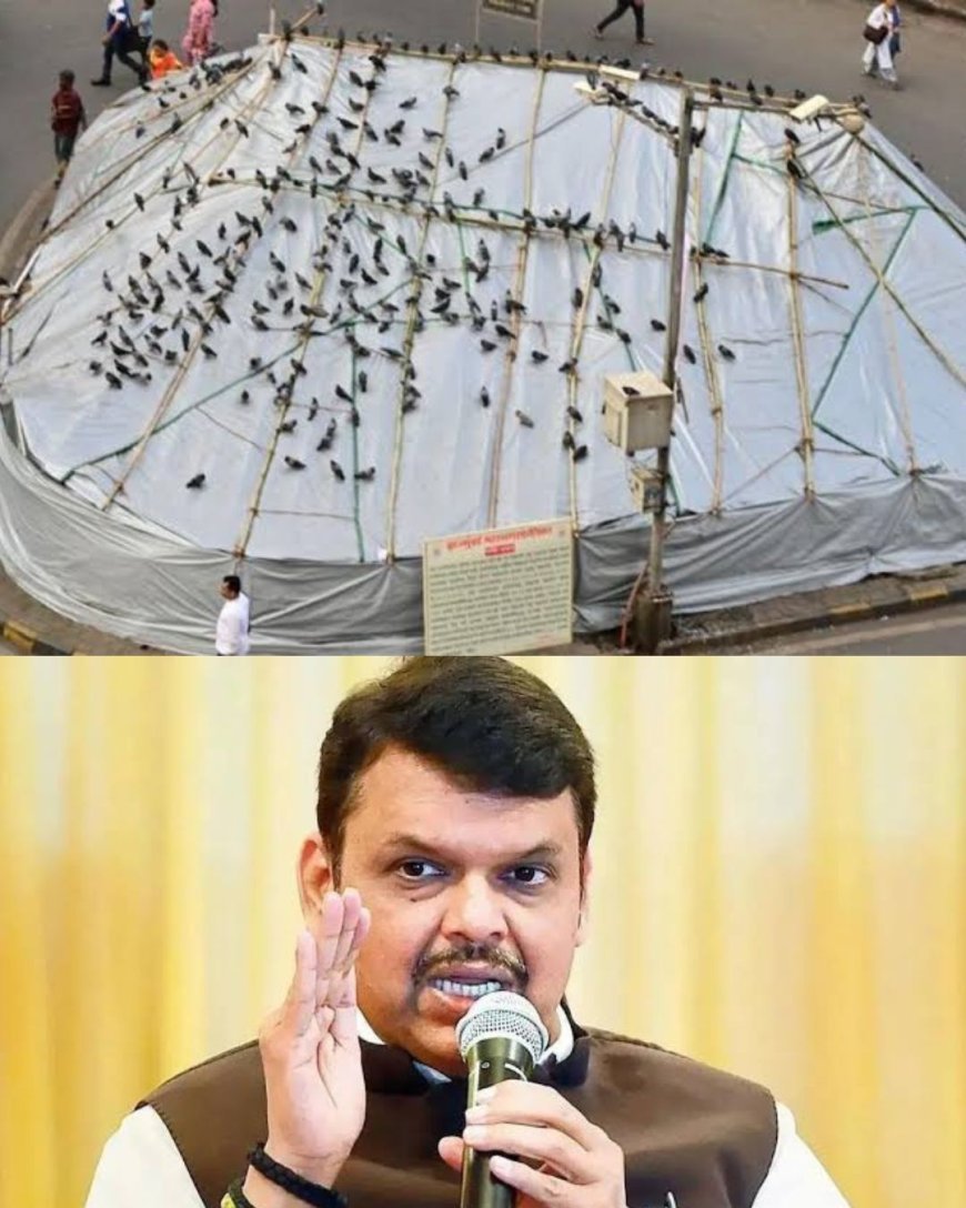 मुंबई के इस प्रसिद्ध जगह पर लगी बैन, लेकिन सरकार द्वारा दिख रही है राहत की उम्मीद !