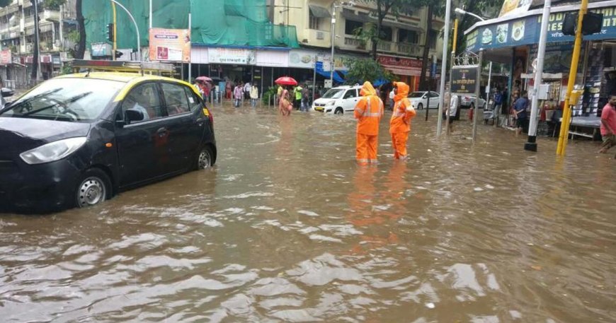 Palghar | Naigaon : बारिश में फंसे परिवार को सोशल मीडिया से मिली राहत !