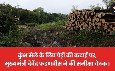 कुंभ मेले के लिए पेड़ों की कटाई पर, मुख्यमंत्री देवेंद्र फडणवीस ने की समीक्षा बैठक I