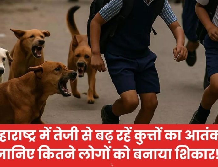 महाराष्ट्र में तेजी से बढ़ रहें कुत्तों का आतंक ! जानिए कितने लोगों को बनाया शिकार!